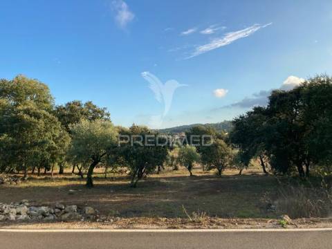 Terreno para construção em aljustrel muito proximo a fátima.