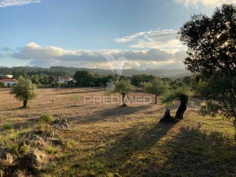 Terreno para construção em aljustrel muito proximo a fátima.