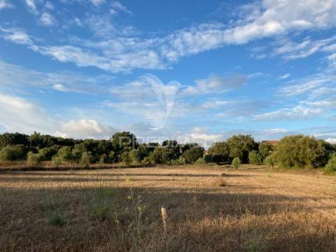 Terreno para construção em aljustrel muito proximo a fátima.