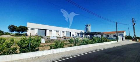 Imóvel industrial (carpintaria)