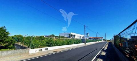 Imóvel industrial (carpintaria)