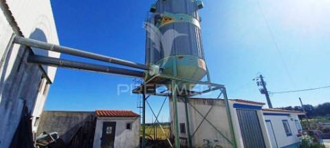 Imóvel industrial (carpintaria)