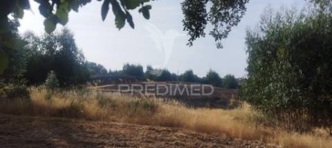 Terreno agricola /construção