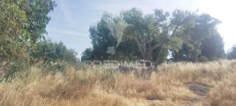 Terreno agricola /construção