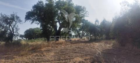 Terreno agricola /construção