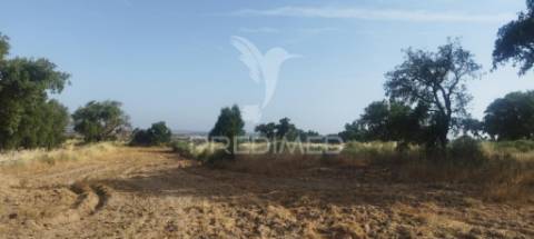 Terreno agricola /construção