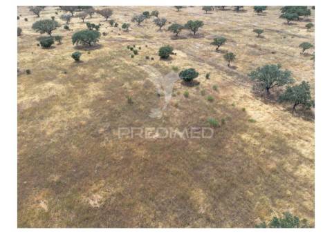 Terreno rústico de 10,95 hectares à venda –monte juntos , freguesia de capelins