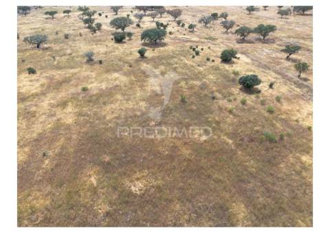 Terreno rústico de 10,95 hectares à venda –monte juntos , freguesia de capelins