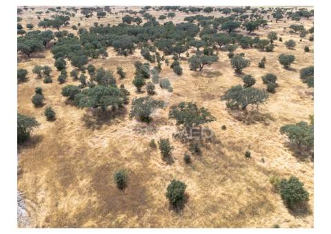 Terreno rústico de 10,95 hectares à venda –monte juntos , freguesia de capelins