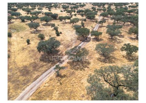 Terreno rústico de 10,95 hectares à venda –monte juntos , freguesia de capelins