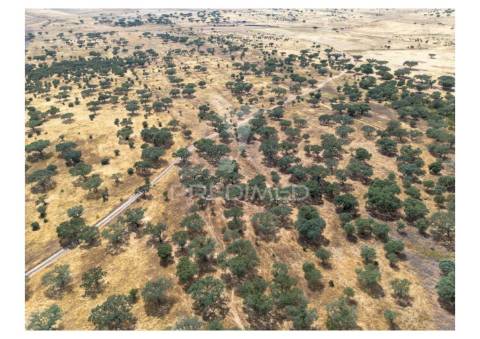 Terreno rústico de 10,95 hectares à venda –monte juntos , freguesia de capelins