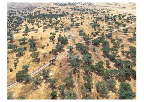 Terreno rústico de 10,95 hectares à venda –monte juntos , freguesia de capelins