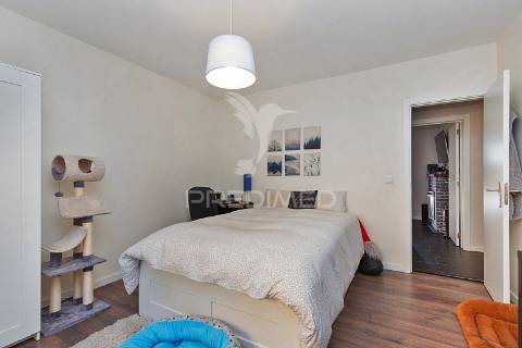 Moradia bifamiliar remodelada com jardim e piscina, loures