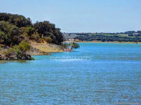 Terreno rústico com viabilidade de construção, avis