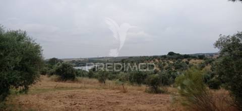 Terreno rústico com viabilidade de construção, avis