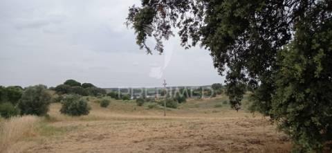 Terreno rústico com viabilidade de construção, avis