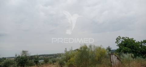 Terreno rústico com viabilidade de construção, avis