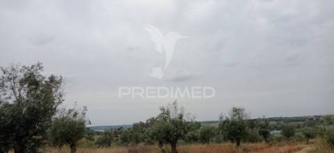 Terreno rústico com viabilidade de construção, avis