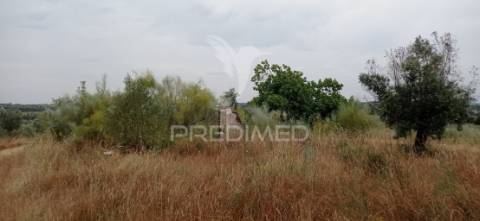 Terreno rústico com viabilidade de construção, avis