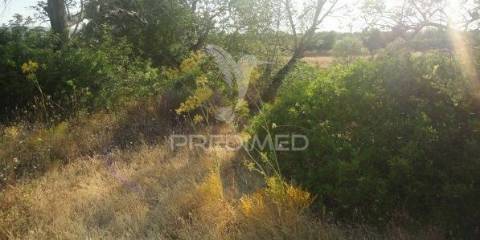 Terreno rustico no conselho de albufeira freguesia ferreiras no pinhal