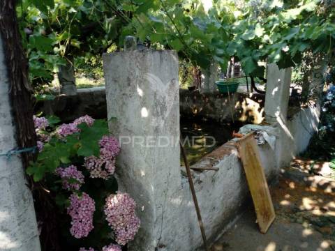 Moradias bi-familiar com terreno