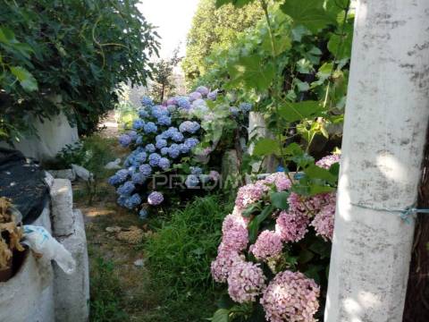 Moradias bi-familiar com terreno