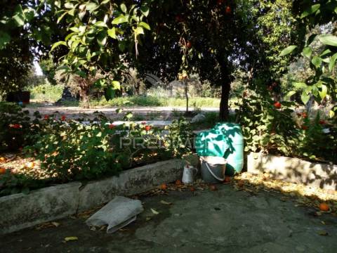 Moradias bi-familiar com terreno