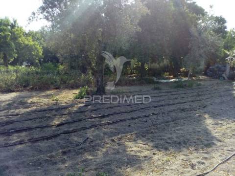 Moradias bi-familiar com terreno