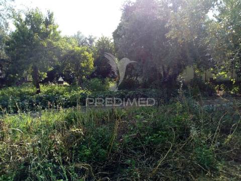 Moradias bi-familiar com terreno