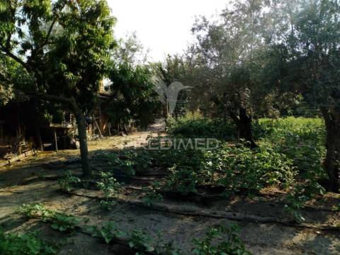 Moradias bi-familiar com terreno