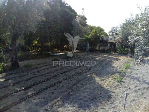 Moradias bi-familiar com terreno