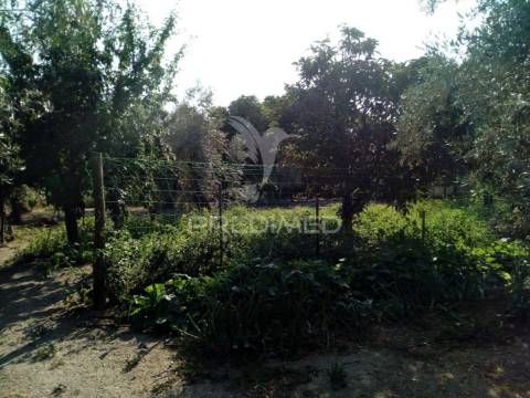 Moradias bi-familiar com terreno