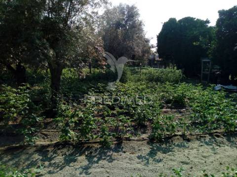 Moradias bi-familiar com terreno