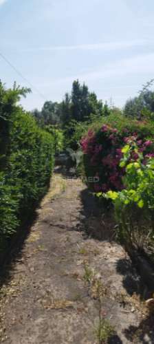 Moradia em vale do pêso