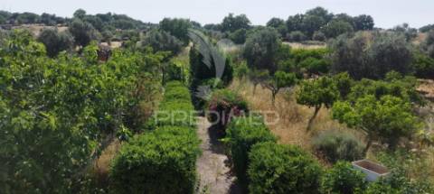 Moradia em vale do pêso