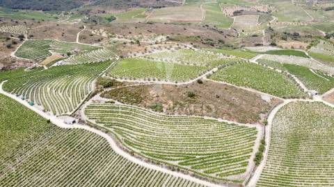 Quinta agrícola em cedovim – vila nova de foz côa