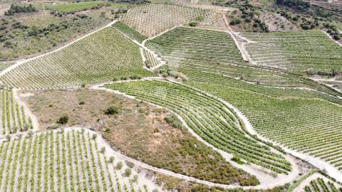 Quinta agrícola em cedovim – vila nova de foz côa