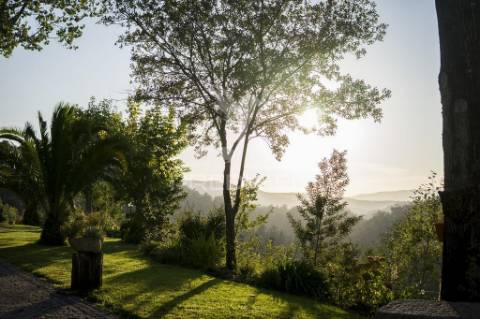 Quinta de charme em oliveira de frades