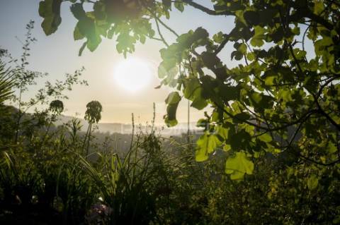 Quinta de charme em oliveira de frades