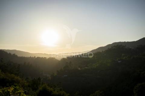 Quinta de charme em oliveira de frades