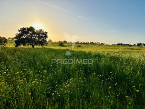 Moradia típica alentejana com piscina e terraço