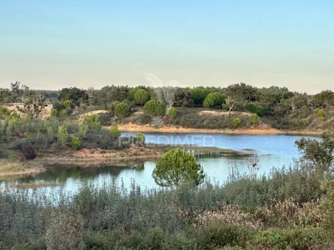 Moradia típica alentejana com piscina e terraço