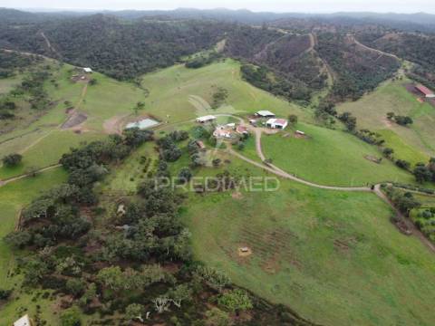 Herdade com 99,45 ha – odemira, litoral alentejano