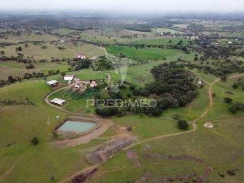 Herdade com 99,45 ha – odemira, litoral alentejano