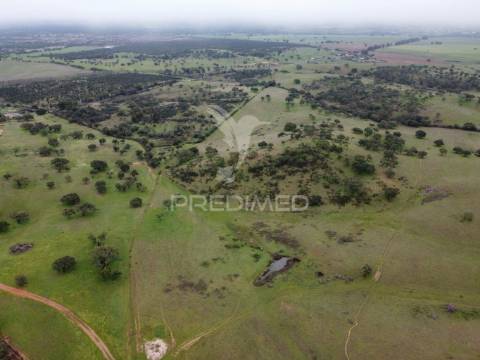 Herdade com 99,45 ha – odemira, litoral alentejano