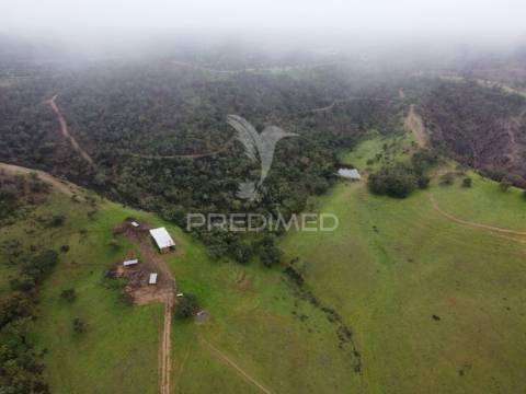 Herdade com 99,45 ha – odemira, litoral alentejano