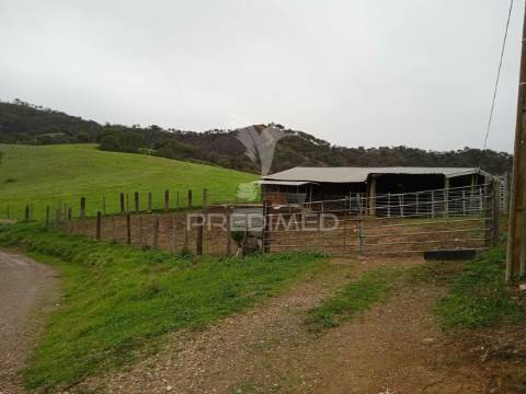 Herdade com 99,45 ha – odemira, litoral alentejano