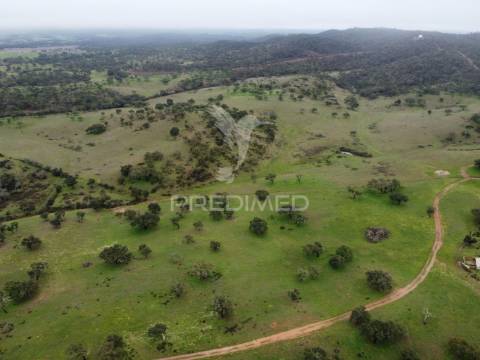 Herdade com 99,45 ha – odemira, litoral alentejano