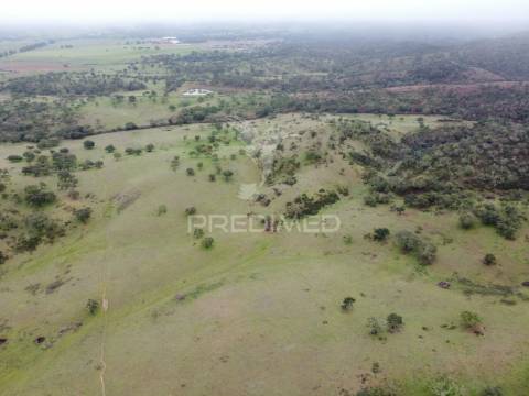 Herdade com 99,45 ha – odemira, litoral alentejano