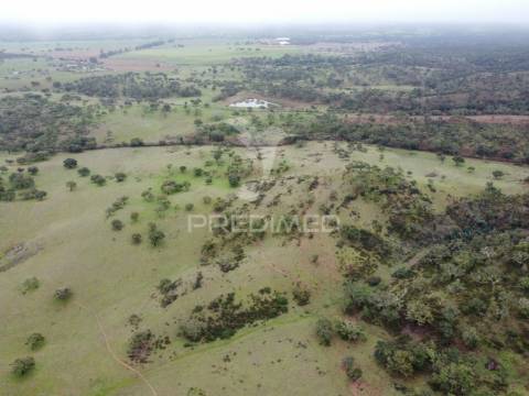Herdade com 99,45 ha – odemira, litoral alentejano